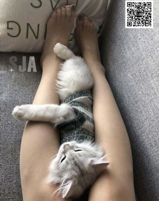 姐妹2完整版免费观看_国语迅雷下载